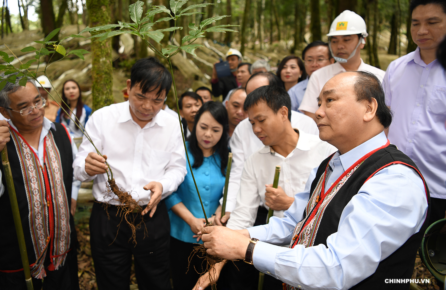 Thủ tướng thăm mô hình sản xuất sâm Ngọc Linh quy mô lớn tại Kon Tum